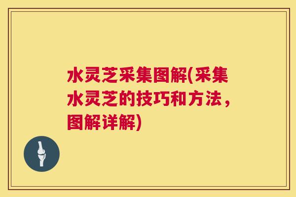 水灵芝采集图解(采集水灵芝的技巧和方法,图解详解) 第1张 水灵芝采集图解(采集水灵芝的技巧和方法,图解详解) 第1张