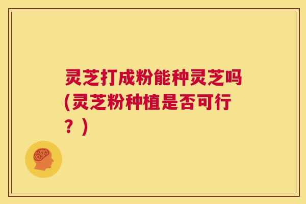 灵芝打成粉能种灵芝吗(灵芝粉种植是否可行？)  第1张