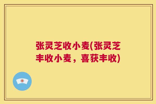 张灵芝收小麦(张灵芝丰收小麦，喜获丰收)  第1张