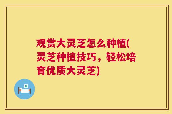 观赏大灵芝怎么种植(灵芝种植技巧，轻松培育优质大灵芝)  第1张