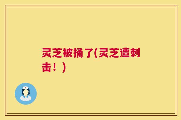 灵芝被捅了(灵芝遭刺击!) 第1张 灵芝被捅了(灵芝遭刺击!) 第1张