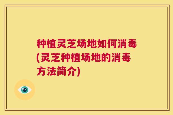 种植灵芝场地如何消毒(灵芝种植场地的消毒方法简介) 第1张 种植灵芝场地如何消毒(灵芝种植场地的消毒方法简介) 第1张