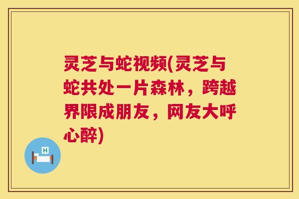 灵芝与蛇视频(灵芝与蛇共处一片森林,跨越界限成朋友,网友大呼心醉) 第1张 灵芝与蛇视频(灵芝与蛇共处一片森林,跨越界限成朋友,网友大呼心醉) 第1张
