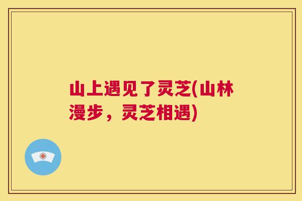 山上遇见了灵芝(山林漫步,灵芝相遇) 第1张 山上遇见了灵芝(山林漫步,灵芝相遇) 第1张