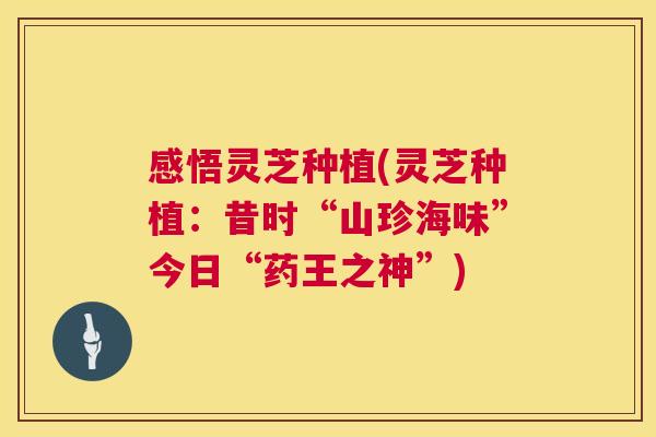 感悟灵芝种植(灵芝种植：昔时“山珍海味”今日“药王之神”)  第1张
