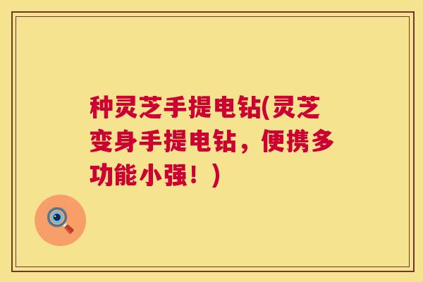 种灵芝手提电钻(灵芝变身手提电钻，便携多功能小强！)  第1张