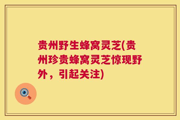 贵州野生蜂窝灵芝(贵州珍贵蜂窝灵芝惊现野外,引起关注) 第1张 贵州野生蜂窝灵芝(贵州珍贵蜂窝灵芝惊现野外,引起关注) 第1张