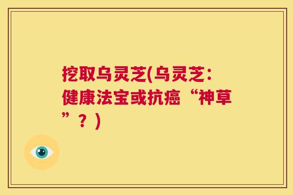 挖取乌灵芝(乌灵芝:健康法宝或抗癌“神草”?) 第1张 挖取乌灵芝(乌灵芝:健康法宝或抗癌“神草”?) 第1张