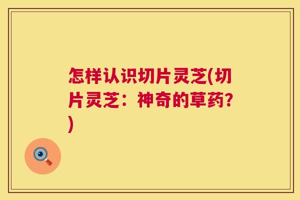 怎样认识切片灵芝(切片灵芝:神奇的草药?) 第1张 怎样认识切片灵芝(切片灵芝:神奇的草药?) 第1张