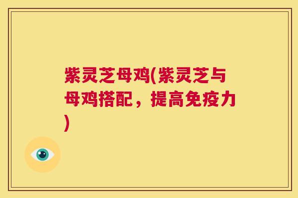 紫灵芝母鸡(紫灵芝与母鸡搭配,提高免疫力) 第1张 紫灵芝母鸡(紫灵芝与母鸡搭配,提高免疫力) 第1张