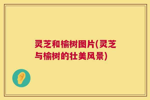 灵芝和榆树图片(灵芝与榆树的壮美风景)  第1张