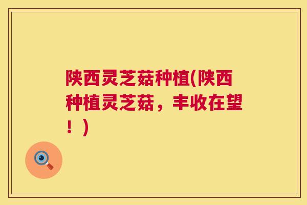 陕西灵芝菇种植(陕西种植灵芝菇,丰收在望!) 第1张 陕西灵芝菇种植(陕西种植灵芝菇,丰收在望!) 第1张