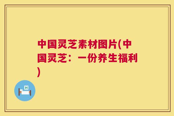 中国灵芝素材图片(中国灵芝：一份养生福利)  第1张