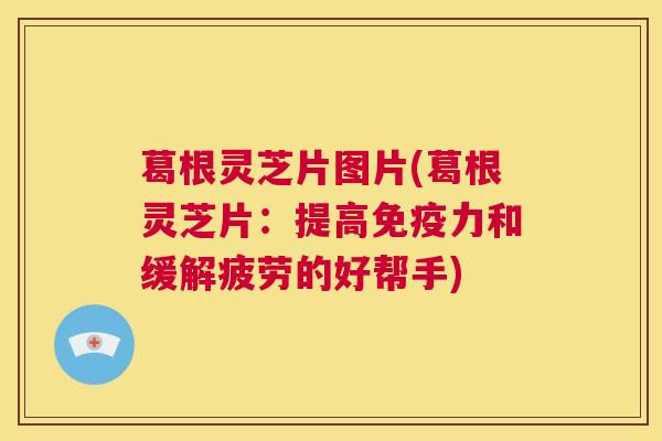 葛根灵芝片图片(葛根灵芝片：提高免疫力和缓解疲劳的好帮手)  第1张
