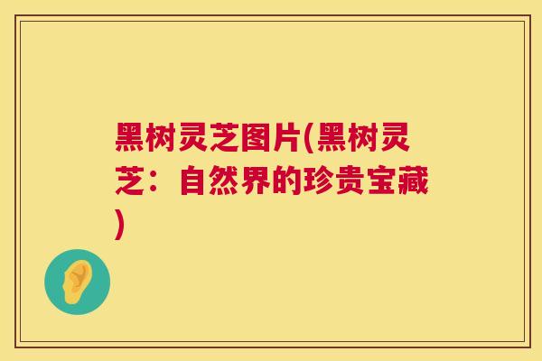 黑树灵芝图片(黑树灵芝:自然界的珍贵宝藏) 第1张 黑树灵芝图片(黑树灵芝:自然界的珍贵宝藏) 第1张