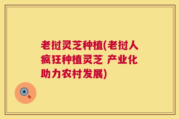 老挝灵芝种植(老挝人疯狂种植灵芝 产业化助力农村发展) 第1张 老挝灵芝种植(老挝人疯狂种植灵芝 产业化助力农村发展) 第1张