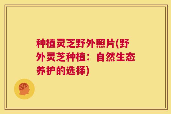 种植灵芝野外照片(野外灵芝种植:自然生态养护的选择) 第1张 种植灵芝野外照片(野外灵芝种植:自然生态养护的选择) 第1张