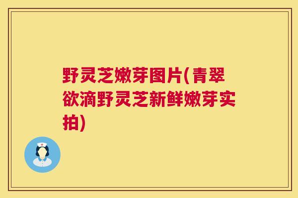 野灵芝嫩芽图片(青翠欲滴野灵芝新鲜嫩芽实拍) 第1张 野灵芝嫩芽图片(青翠欲滴野灵芝新鲜嫩芽实拍) 第1张