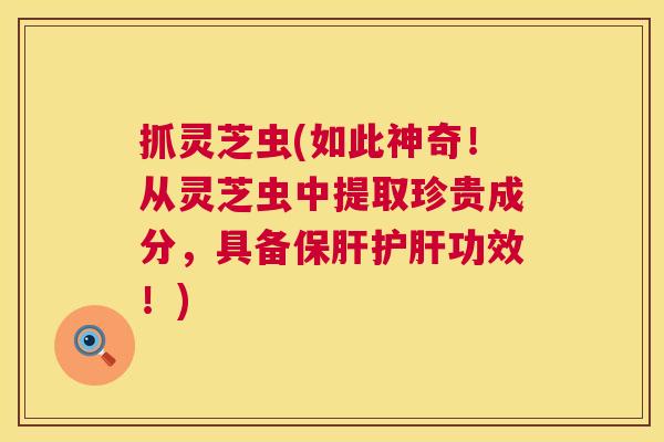 抓灵芝虫(如此神奇!从灵芝虫中提取珍贵成分,具备保肝护肝功效!) 第1张 抓灵芝虫(如此神奇!从灵芝虫中提取珍贵成分,具备保肝护肝功效!) 第1张