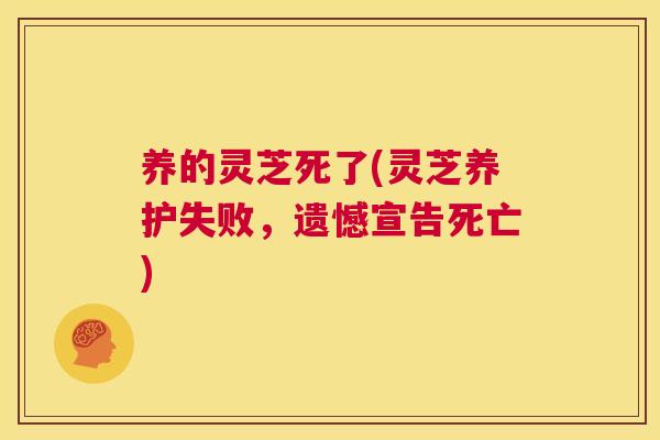 养的灵芝死了(灵芝养护失败,遗憾宣告死亡) 第1张 养的灵芝死了(灵芝养护失败,遗憾宣告死亡) 第1张