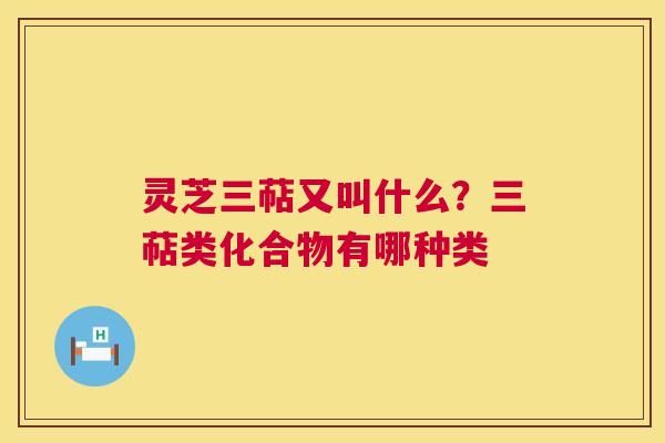 灵芝三萜又叫什么?三萜类化合物有哪种类 第1张 灵芝三萜又叫什么?三萜类化合物有哪种类 第1张
