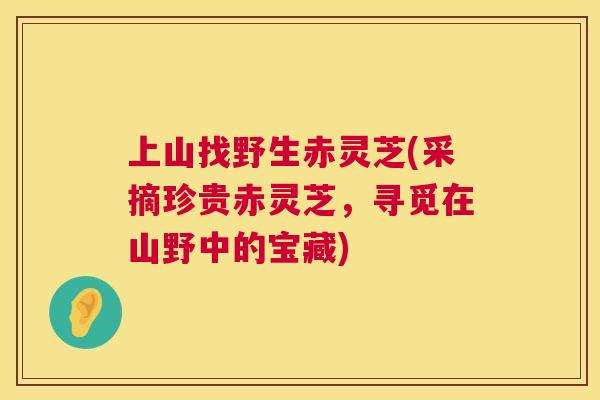 上山找野生赤灵芝(采摘珍贵赤灵芝,寻觅在山野中的宝藏) 第1张 上山找野生赤灵芝(采摘珍贵赤灵芝,寻觅在山野中的宝藏) 第1张