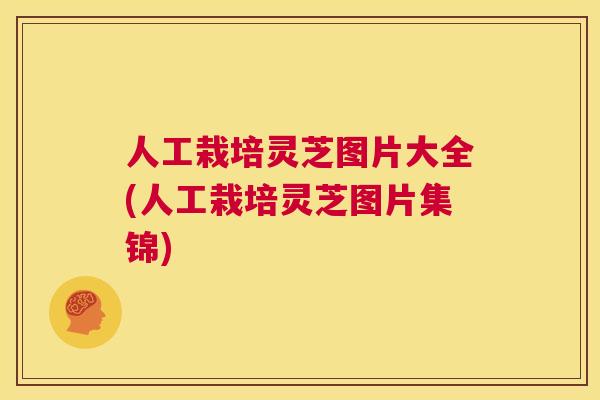 人工栽培灵芝图片大全(人工栽培灵芝图片集锦)  第1张