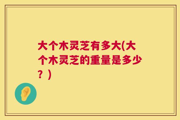大个木灵芝有多大(大个木灵芝的重量是多少?) 第1张 大个木灵芝有多大(大个木灵芝的重量是多少?) 第1张