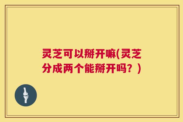 灵芝可以掰开嘛(灵芝分成两个能掰开吗?) 第1张 灵芝可以掰开嘛(灵芝分成两个能掰开吗?) 第1张