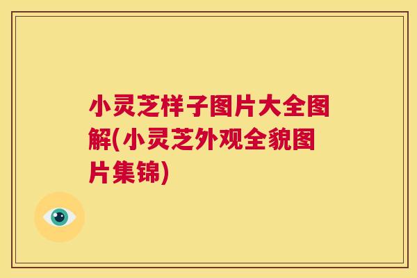 小灵芝样子图片大全图解(小灵芝外观全貌图片集锦) 第1张 小灵芝样子图片大全图解(小灵芝外观全貌图片集锦) 第1张