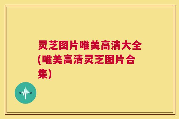 灵芝图片唯美高清大全(唯美高清灵芝图片合集) 第1张 灵芝图片唯美高清大全(唯美高清灵芝图片合集) 第1张