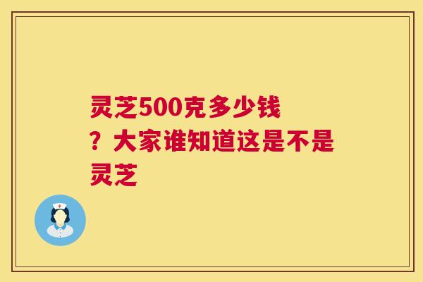灵芝500克多少钱 ？大家谁知道这是不是灵芝  第1张