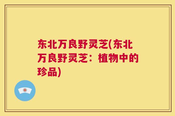东北万良野灵芝(东北万良野灵芝:植物中的珍品) 第1张 东北万良野灵芝(东北万良野灵芝:植物中的珍品) 第1张