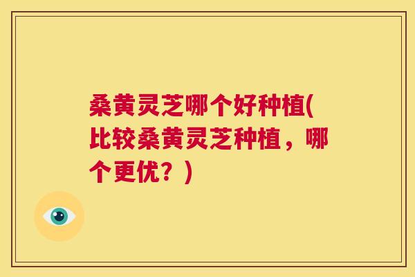 桑黄灵芝哪个好种植(比较桑黄灵芝种植，哪个更优？)  第1张