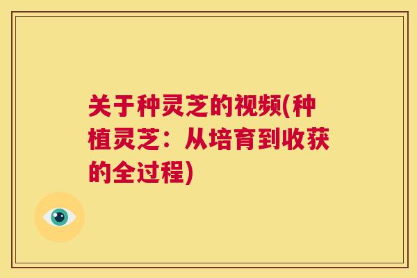 关于种灵芝的视频(种植灵芝:从培育到收获的全过程) 第1张 关于种灵芝的视频(种植灵芝:从培育到收获的全过程) 第1张