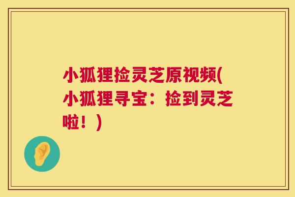 小狐狸捡灵芝原视频(小狐狸寻宝:捡到灵芝啦!) 第1张 小狐狸捡灵芝原视频(小狐狸寻宝:捡到灵芝啦!) 第1张
