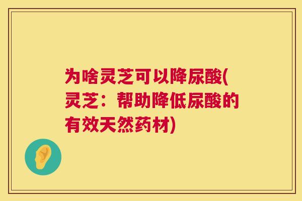 为啥灵芝可以降尿酸(灵芝:帮助降低尿酸的有效天然药材) 第1张 为啥灵芝可以降尿酸(灵芝:帮助降低尿酸的有效天然药材) 第1张