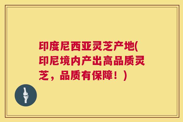 印度尼西亚灵芝产地(印尼境内产出高品质灵芝，品质有保障！)  第1张