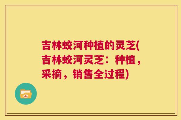 吉林蛟河种植的灵芝(吉林蛟河灵芝:种植,采摘,销售全过程) 第1张 吉林蛟河种植的灵芝(吉林蛟河灵芝:种植,采摘,销售全过程) 第1张