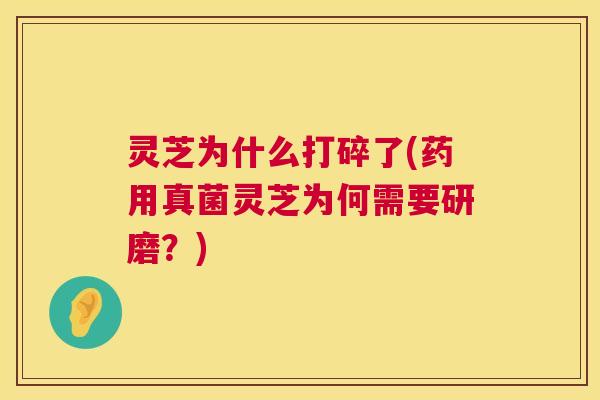 灵芝为什么打碎了(药用真菌灵芝为何需要研磨？)  第1张