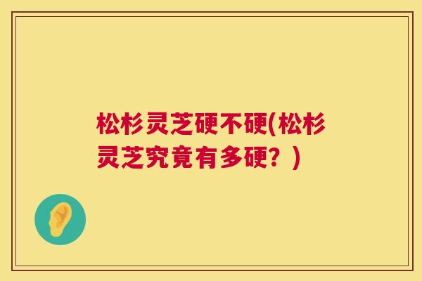 松杉灵芝硬不硬(松杉灵芝究竟有多硬?) 第1张 松杉灵芝硬不硬(松杉灵芝究竟有多硬?) 第1张