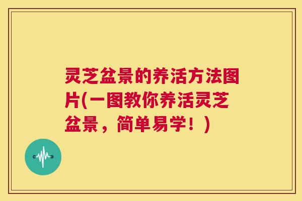 灵芝盆景的养活方法图片(一图教你养活灵芝盆景,简单易学!) 第1张 灵芝盆景的养活方法图片(一图教你养活灵芝盆景,简单易学!) 第1张