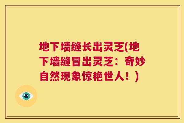 地下墙缝长出灵芝(地下墙缝冒出灵芝:奇妙自然现象惊艳世人!) 第1张 地下墙缝长出灵芝(地下墙缝冒出灵芝:奇妙自然现象惊艳世人!) 第1张