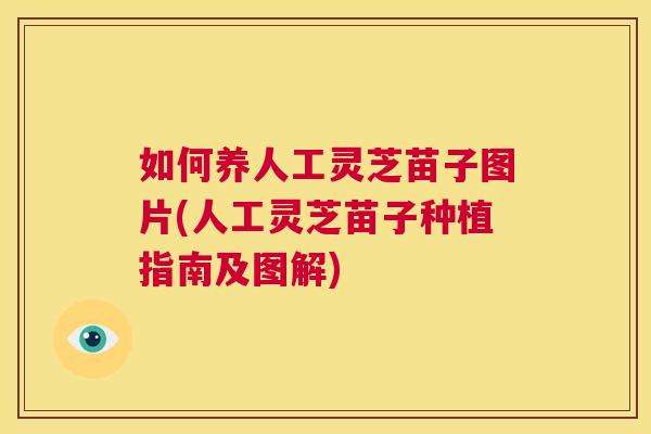 如何养人工灵芝苗子图片(人工灵芝苗子种植指南及图解)  第1张