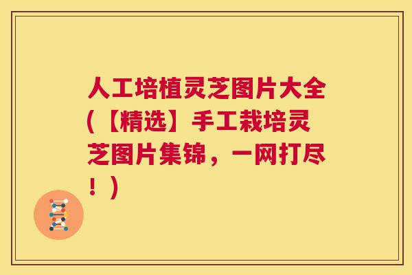 人工培植灵芝图片大全(【精选】手工栽培灵芝图片集锦，一网打尽！)  第1张