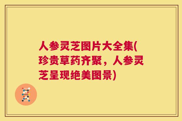 人参灵芝图片大全集(珍贵草药齐聚,人参灵芝呈现绝美图景) 第1张 人参灵芝图片大全集(珍贵草药齐聚,人参灵芝呈现绝美图景) 第1张