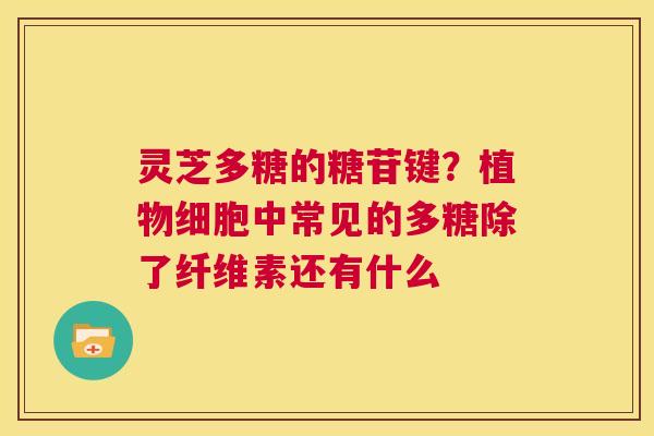 灵芝多糖的糖苷键?植物细胞中常见的多糖除了纤维素还有什么 第1张 灵芝多糖的糖苷键?植物细胞中常见的多糖除了纤维素还有什么 第1张