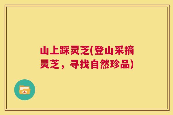山上踩灵芝(登山采摘灵芝,寻找自然珍品) 第1张 山上踩灵芝(登山采摘灵芝,寻找自然珍品) 第1张
