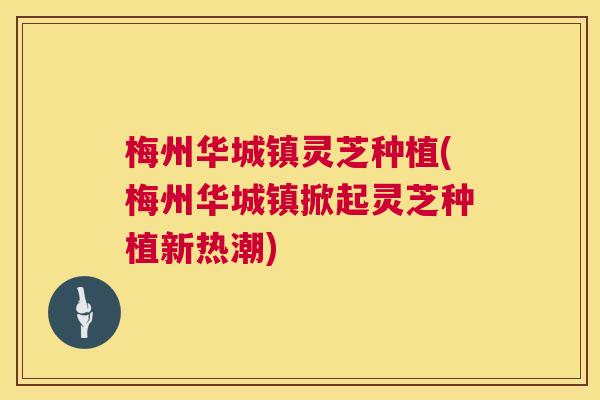 梅州华城镇灵芝种植(梅州华城镇掀起灵芝种植新热潮) 第1张 梅州华城镇灵芝种植(梅州华城镇掀起灵芝种植新热潮) 第1张