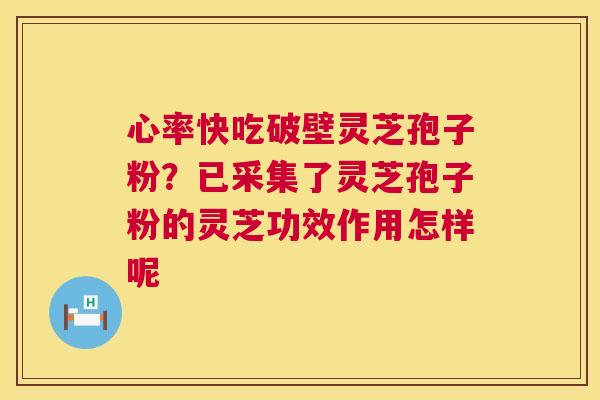 心率快吃破壁灵芝孢子粉?已采集了灵芝孢子粉的灵芝功效作用怎样呢 第1张 心率快吃破壁灵芝孢子粉?已采集了灵芝孢子粉的灵芝功效作用怎样呢 第1张